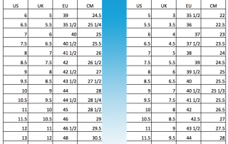 asics men's shoe chart