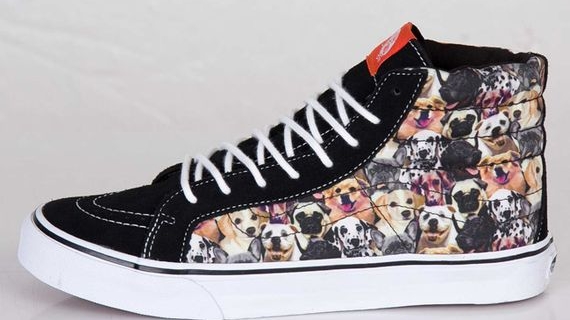vans with dogs on them