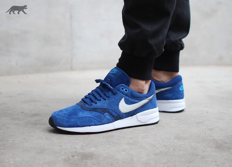 nike sb dunk stingwater magic mushroom