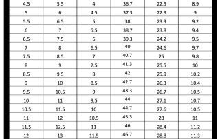 Shoes Size Conversion Chart Soleracks