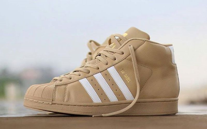 adidas pro model brown