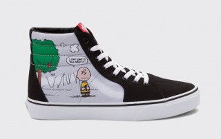 Vans x Peanuts SK8 Charie Brown Kite 