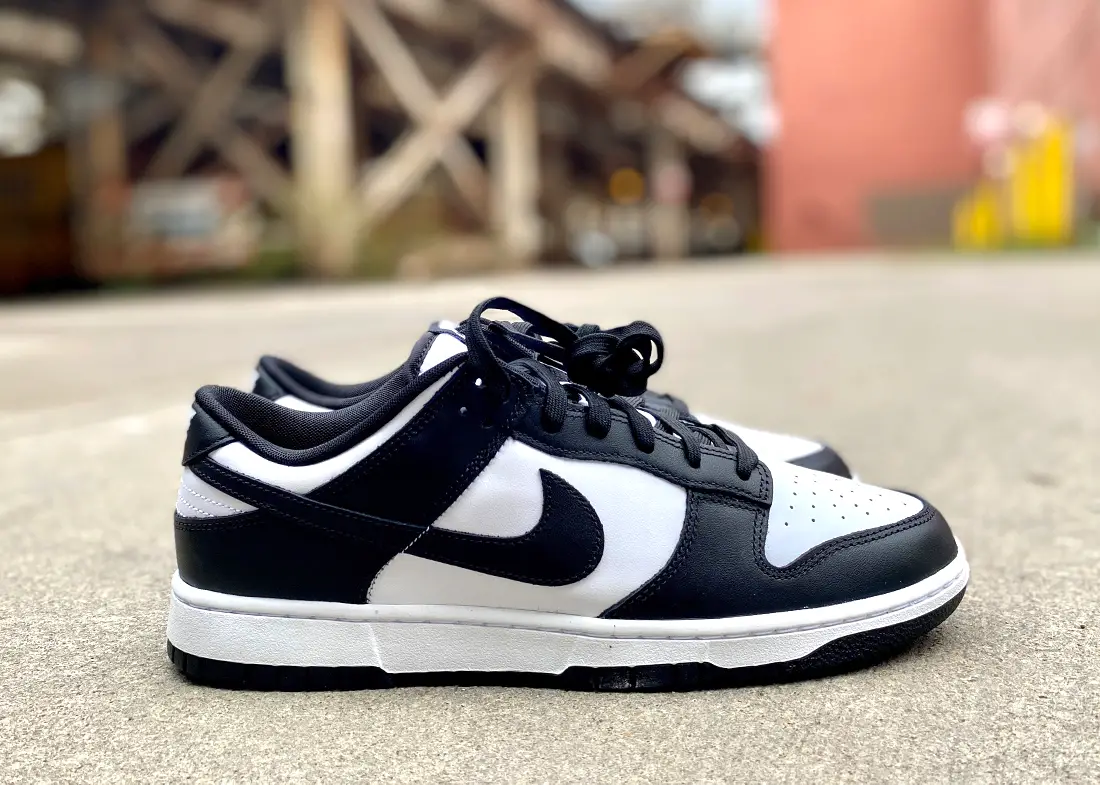 Nike Dunk Low Review 1